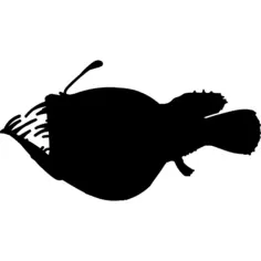 Fish Anglerfish silhouette
