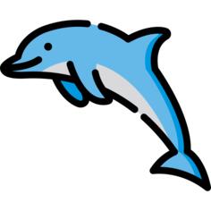 海豚