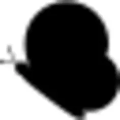 圆形的蝴蝶朝左