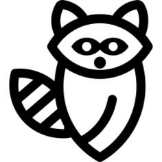 raccoon