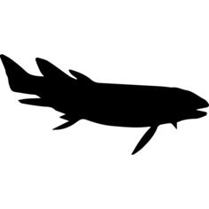 Fish shape