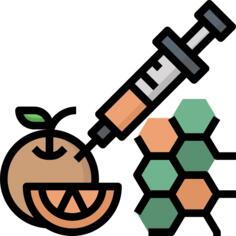 GMO