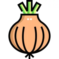 Onion