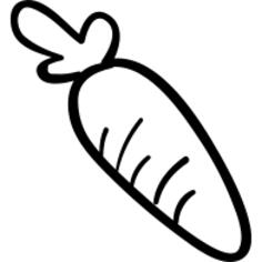 Carrot vegetable