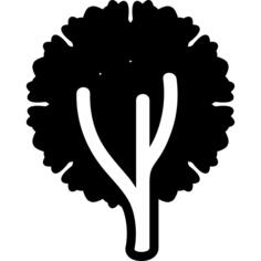 圆形叶子树