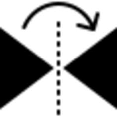 Mirror horizontally