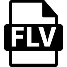 FLV文件格式符号