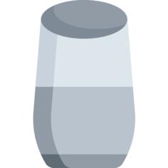 Google home
