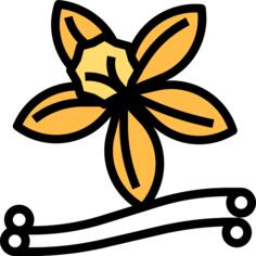 Vanilla