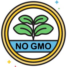 GMO