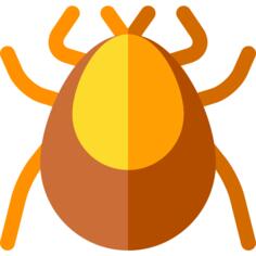 蜱