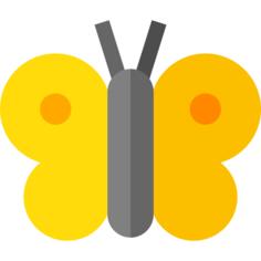 蝴蝶