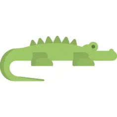 Crocodile
