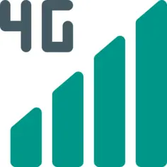 4g