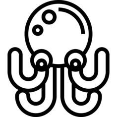 动物