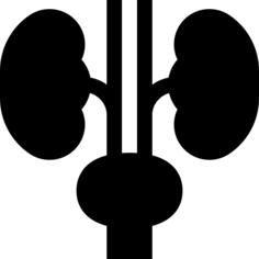 泌尿科学