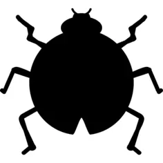 Insect catarina shape