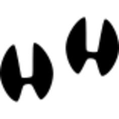Hoofprints