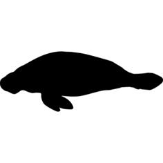 Manatee shape