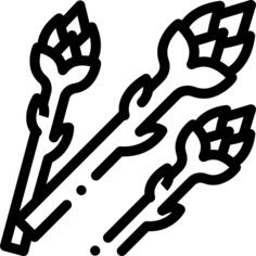 芦笋