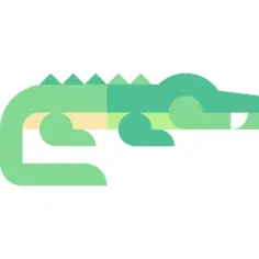Crocodile