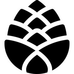 Pine cone