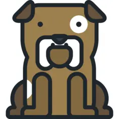 Bulldog