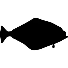 Halibut fish shape