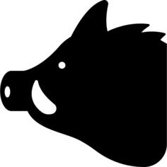猪头