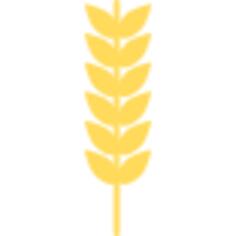Wheat