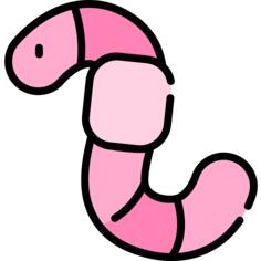 Worm