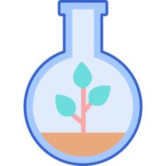 植物