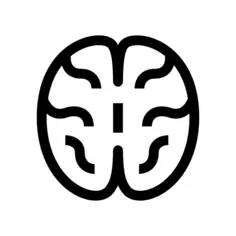 Brain