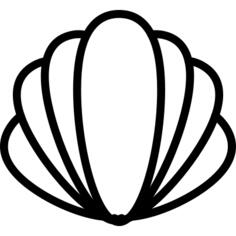 贝壳