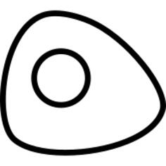 Fried egg