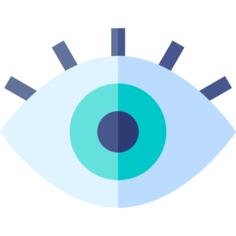 Eye