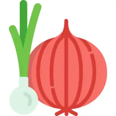Onion