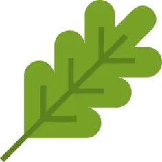 Branch