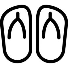 Two Flip Flops
