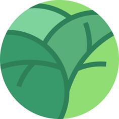 Ginkgo