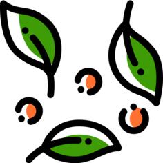 沙拉
