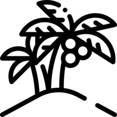 Coconut tree