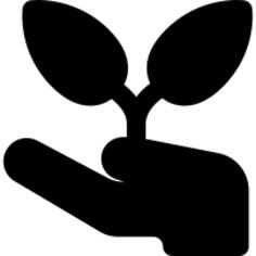 Hand and Sprout