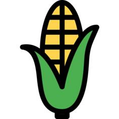 Maize