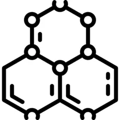 分子