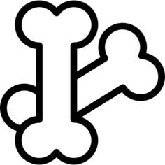 Bones