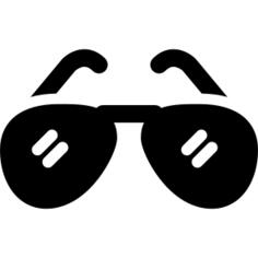 Police Sunglasses