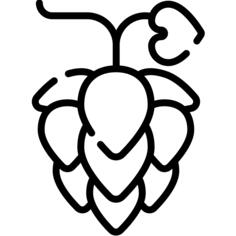 Artichoke