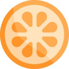 Orange slice