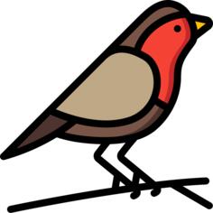 Robin